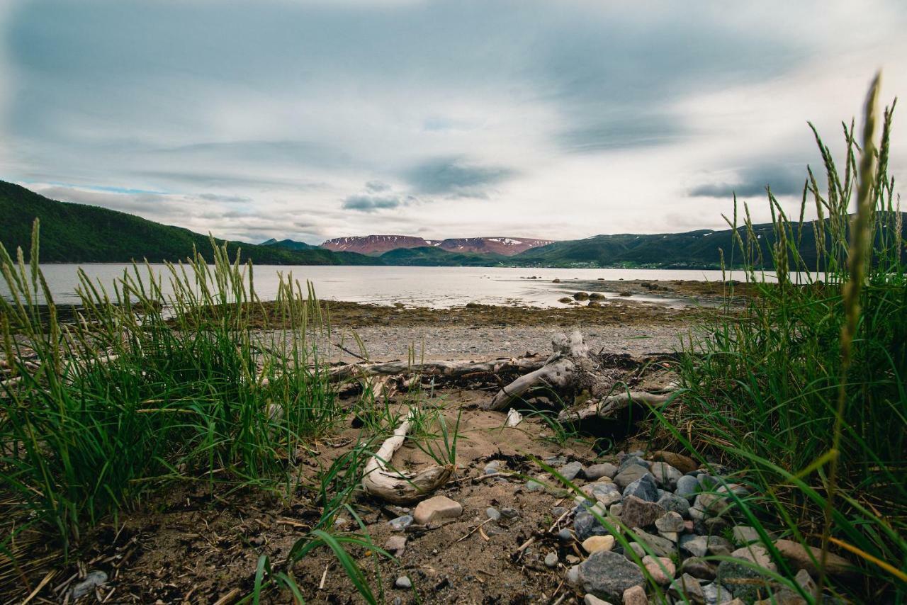 Out East B&B Norris Point エクステリア 写真